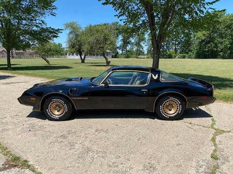1981 Pontiac Firebird (CC-1354244) for sale in Shelby Township, Michigan