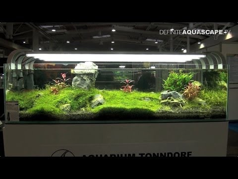 Aquarium Ideas - planted aquariums of Heimtiermesse 2014, Hannover, pt. 1