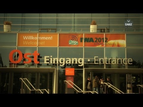 Darz Bór jedzie na IWE!