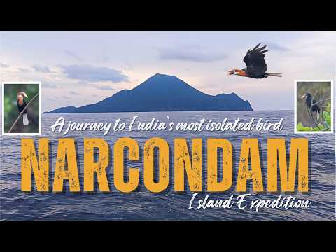 Narcondam Island Expedition: A Journey to India's Most Isolated Birds #birds #wildlife #trending