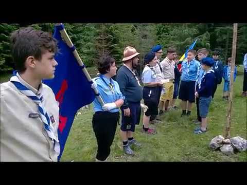 Promisiune la lupisori