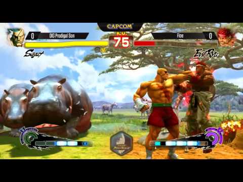 EVO 2014  USF4 -