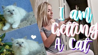 RANDOM DAY IN MY LIFE | I&#39;M GETTING A CAT