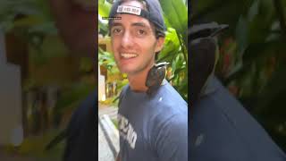 The baby bird chose him 🥺❤️ @luddebergstrom