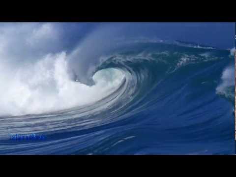 Waves - Bijan Mortazavi