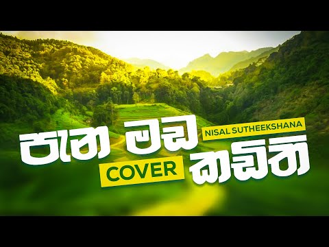 Panamada Kadithi (පැන මඩ කඩිති) | Cover by Nisal Sutheekshana
