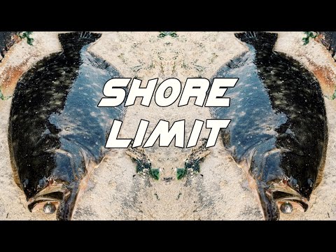 Jigging Up a Fluke Limit From Shore! Summer Flounder Fishing 🐟