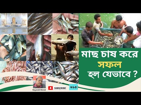 মাছের খামার ব্যবস্থাপনা | কয়েকজন সফল মৎস্য খামারীর কথা