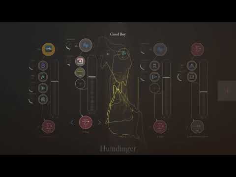 Humdinger: Good Boy.  iOS iPad Pro Jam within AUM  - Stoney Macaroni