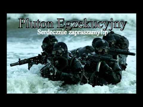 Pluton Egzekucyjny  ( Order lg, ZnS, ZWR, KaeMTe )