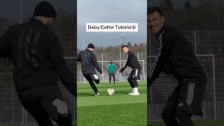 DAISY CUTTER TUTORIAL