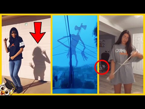 20 TikTok Videos Worth Watching Before They Get Banned