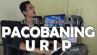 Download lagu Pacobaning Urip Keroncong Karaoke Purwaka Musik mp3