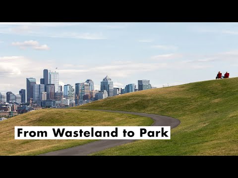 How a Toxic Wasteland Became Seattle’s Most Unique Park
