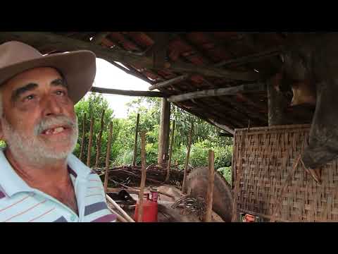 CORUMBÁ DE GOIÁS - STREAMING 1