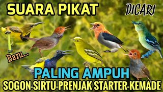 Download lagu Suara Pikat Sogon, Prenjak starter, Kemade, Sirtu 100% Ampuh 🕊️ mp3 Download lagu Suara Pikat Sogon, Prenjak starter, Kemade, Sirtu 100% Ampuh 🕊️ mp3