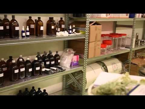 Biogroup - #Bagnolibook2 - Il Documentario su Bagnoli