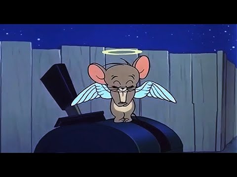 Pollari - Animal visualizer (prod. senseiatl)