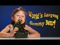 4-year-old Devours WORLD'S LARGEST GUMMY ...