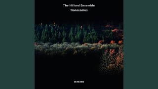 Anonymous: St. Thomas Honour We