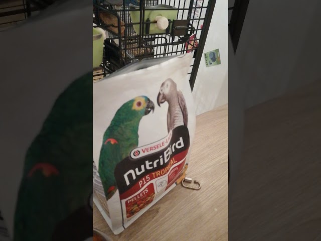 Vídeo relacionado con Versele-laga Comida para pájaros Versele laga NUTRIBIRD P15 Tropical - AL NUTRIBIRD P15 Tropical 1K