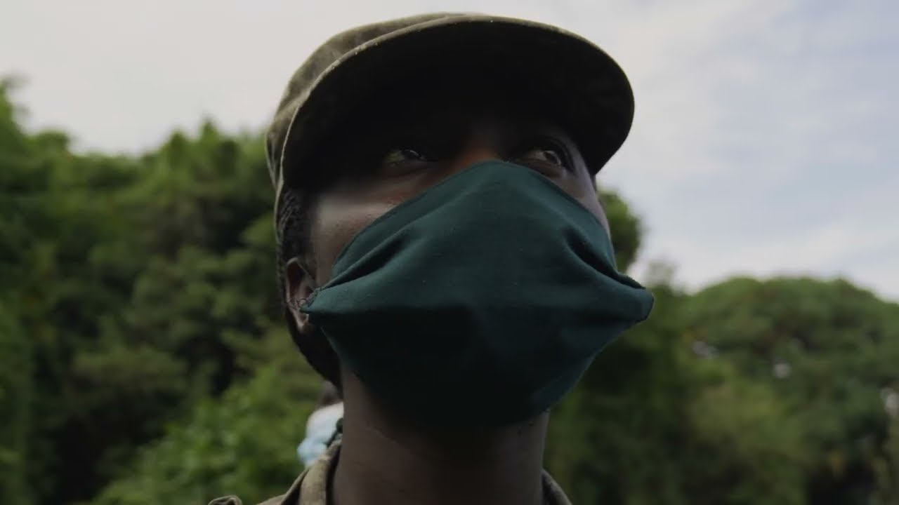 JOY Trailer | Wildscreen Official Selection 2022