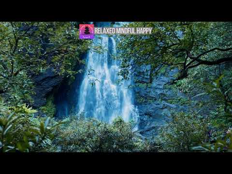 Ep161 10 rain in forest relax rain sounds #shorts  #rainsoundsforsleeping #rain #relaxrain #viralsho