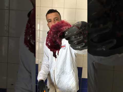 تنقية سمك الدوراد #سمك #fish #fishing