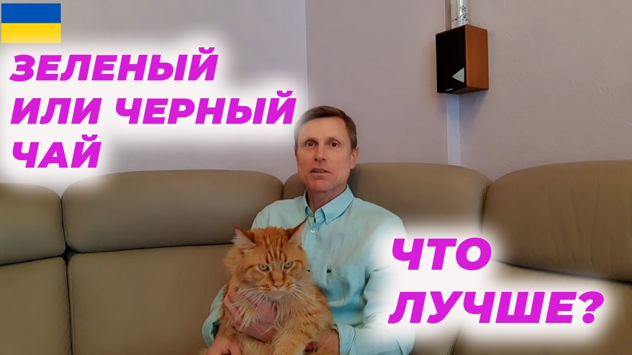 Смотреть черный или зеленый чай сейчас черный или зеленый чай