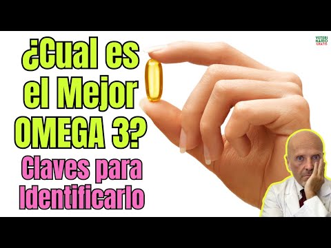 💊💙WHAT IS THE BEST OMEGA 3 ON THE MARKET AND HOW SHOULD YOU CHOOSE IT? 🤯 DON'T WASTE YOUR MONEY! ...