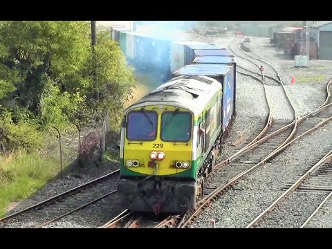 IE class 201 (229) + IWT Liner @ North Wall & St. Brendan's Road