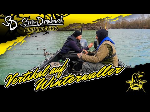 Abenteuer Welsangeln | VERTIKAL auf WINTERWALLER | Deutschlandwaller