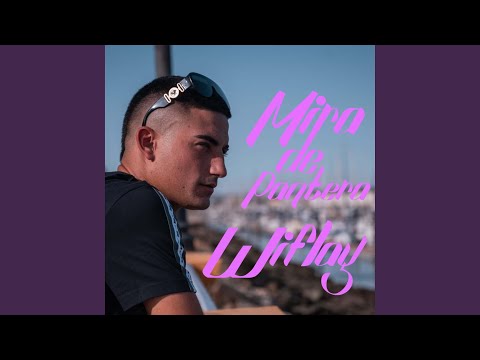 Wiflay - mirá de pantera