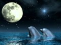 CLARO DE LUNA (Moonlight Sonata ...
