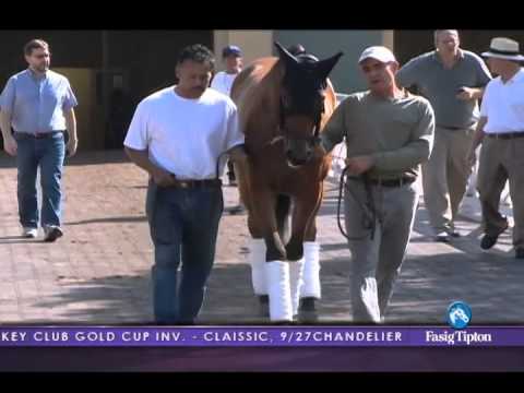 Pursuit of the Cup, Sept. 25, 2014: Beholder Profile