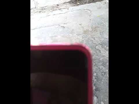 review sharp aquos shv41