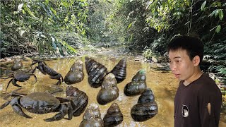 A Disabled Boy Finds Crabs and Snails to Sell For Money | Ly Tieu disabled boy