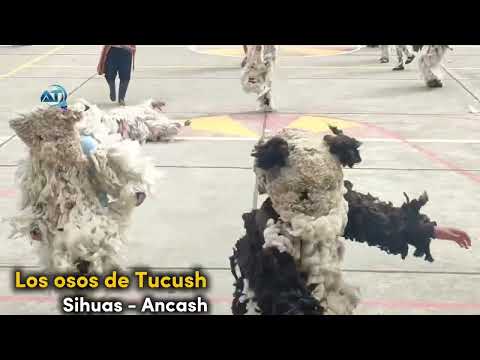 Osos de Tucush Sihuas Ancash 