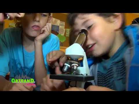 Das Bildungszentrum Ortrand