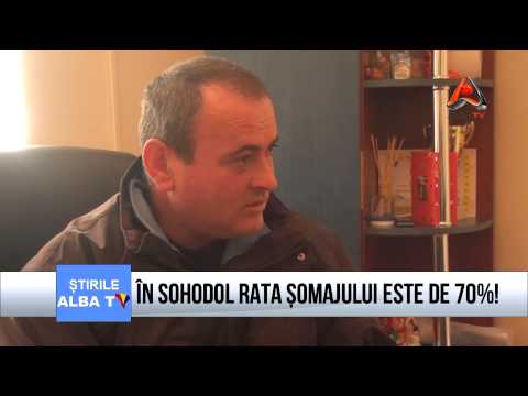 IN SOHODOL RATA SOMAJULUI ESTE DE 70%!