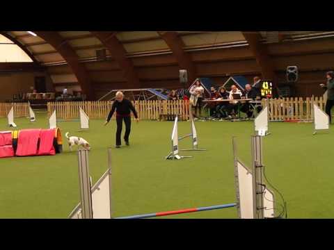 TeamKira 2016 11 12  J3 Saarburg