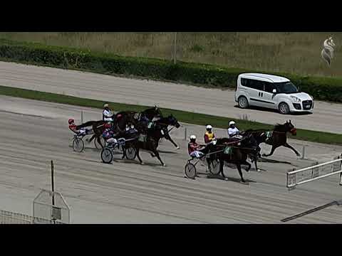 Aversa trotto 14 Maggio 2022 - 1° Corsa