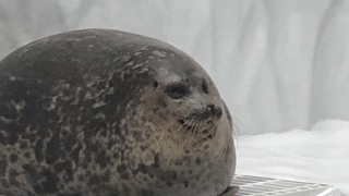筒井ウイイレでぼこす