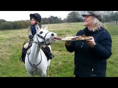 Riez jusqu'à en pleurer avec ces vidéos drôles d'animaux 2024 ! 🤣