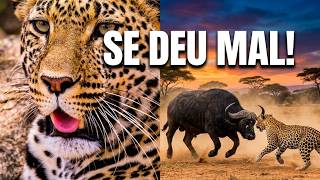 10 VEZES QUE O LEOPARDO ESCOLHEU O OPONENTE ERRADO E SE DEU MAL
