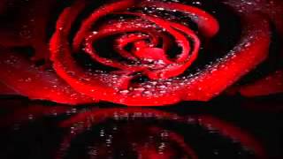 Al Jarreau / More Love