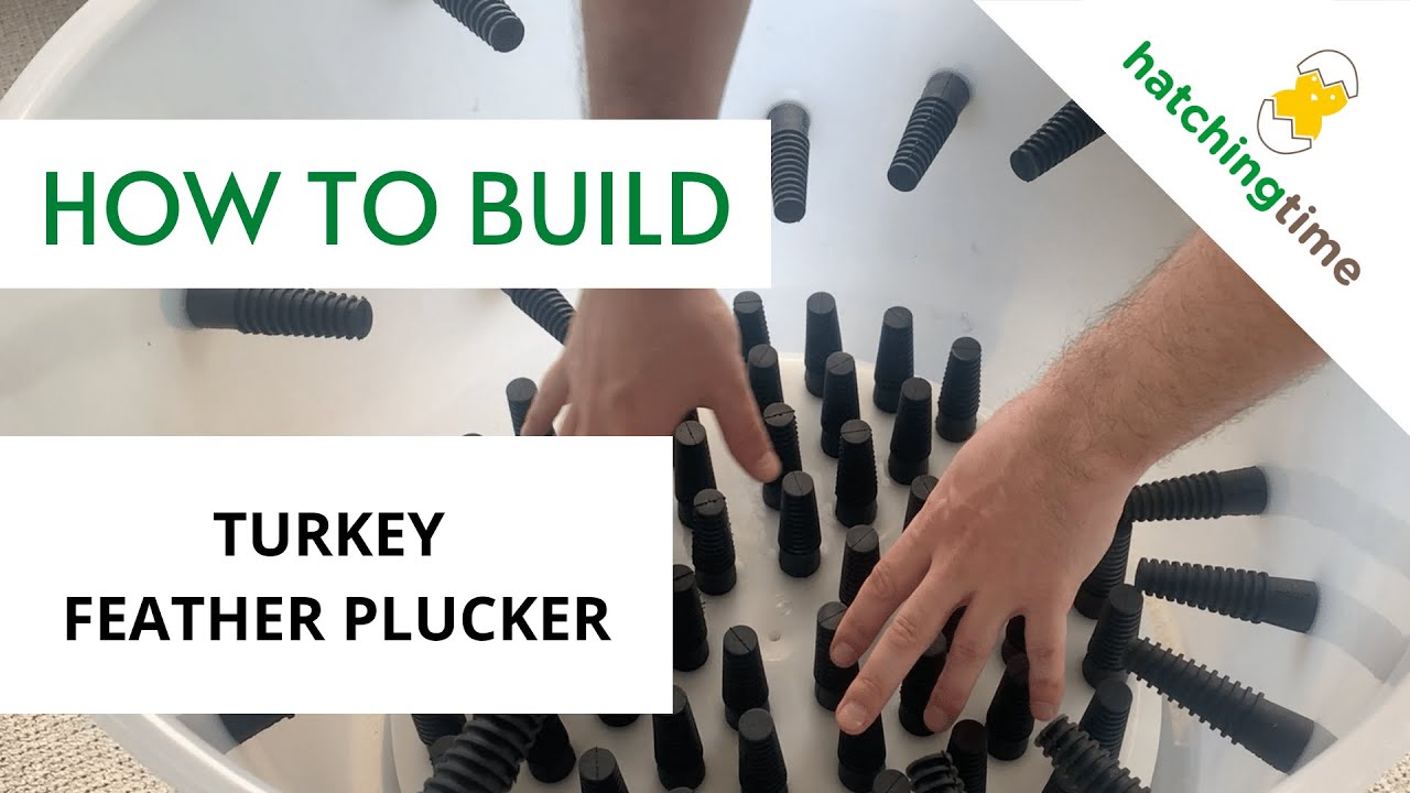 Turkey Feather Plucker (Assembly - Hatching Time) Cimuka