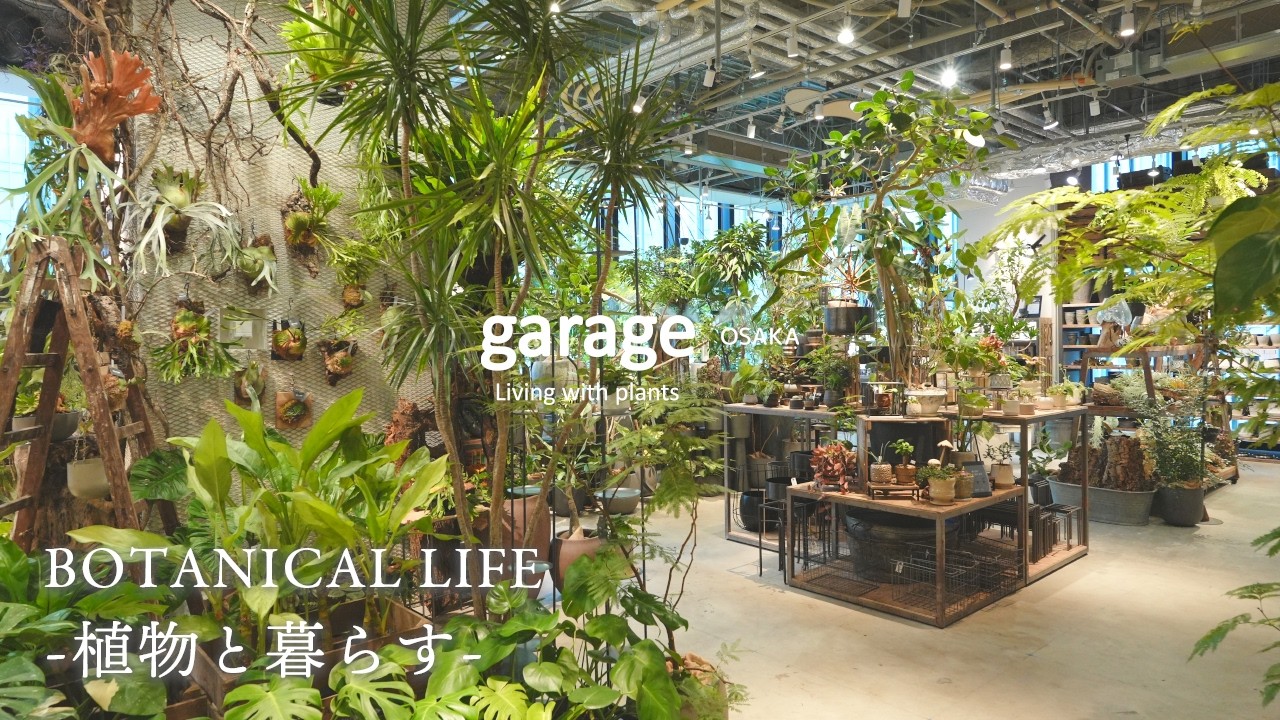 【観葉植物】2つのブランドが一つの空間に...新しい可能性に挑戦する園芸店｜「garage OSAKA」｜KITTE大阪｜梅田｜植物店巡り
