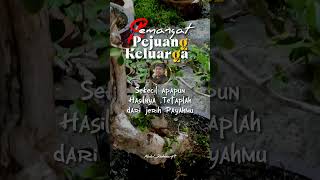 Download lagu Tetap Semangat Pejuang Keluarga | Story Harian | Kata bijak Hari ini - Motivasi hidup mp3