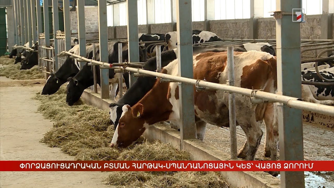 Փորձացուցադրական բտման հարթակ-սպանդանոցային կետ՝ Վայոց ձորում